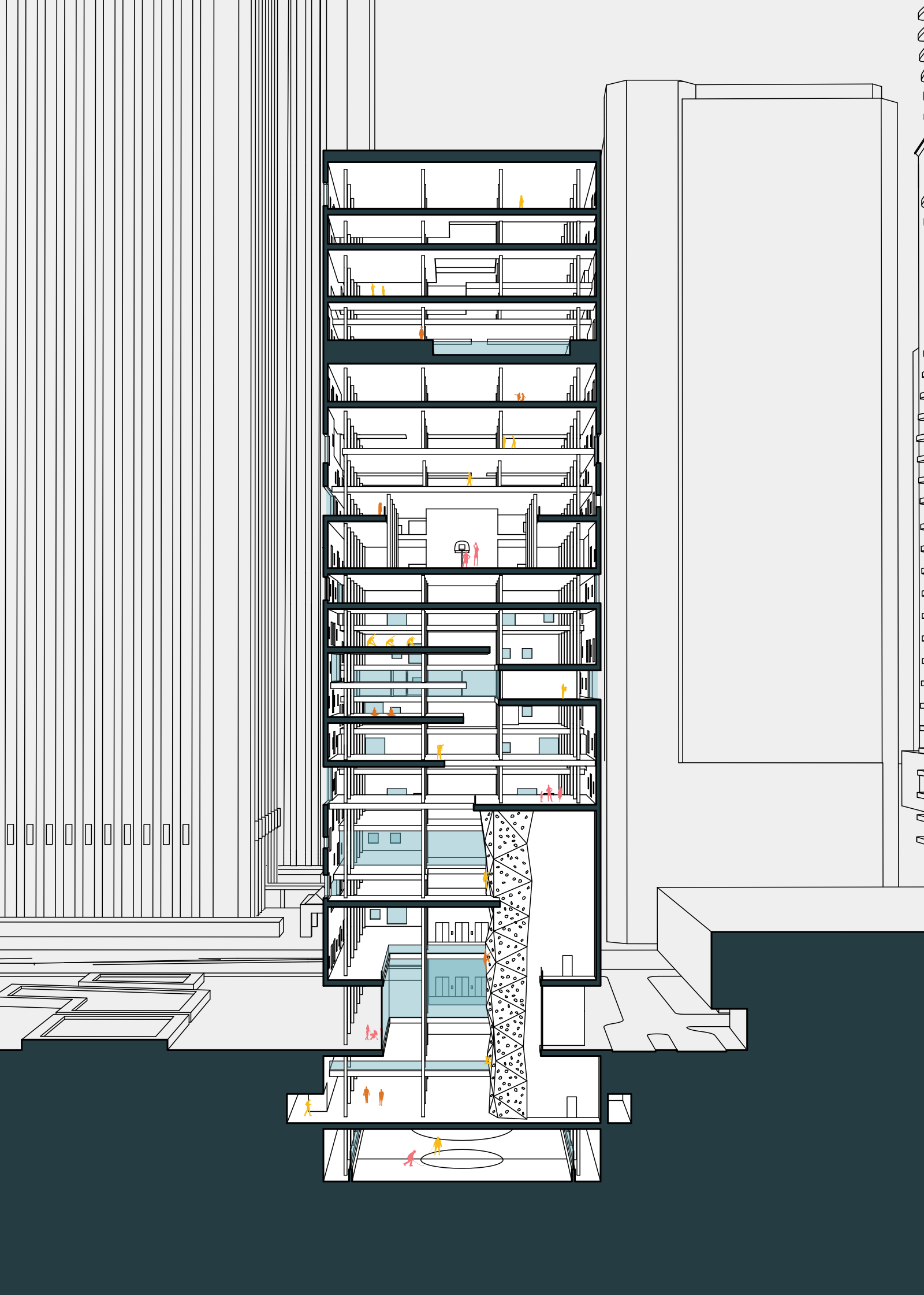 A section through the short axis of the building